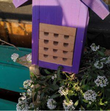 Image de maison pour abeilles sauvages